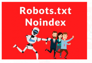 robots_txt_no_index